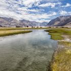 Nubra Valley