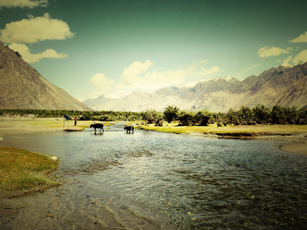 nubra valley | ladakh...2