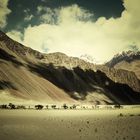 nubra valley | ladakh...3