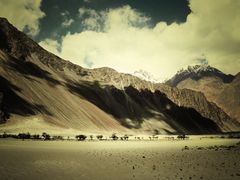 nubra valley | ladakh...3