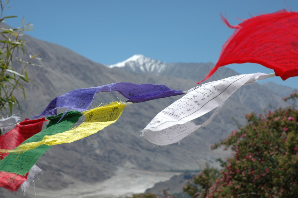 Nubratal, Ladakh (Indien)