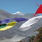 Nubratal, Ladakh (Indien)