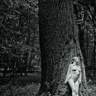 Nude On Tree