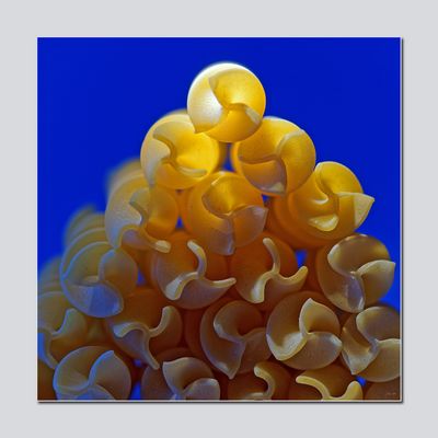 Nudeln in blauer Soße