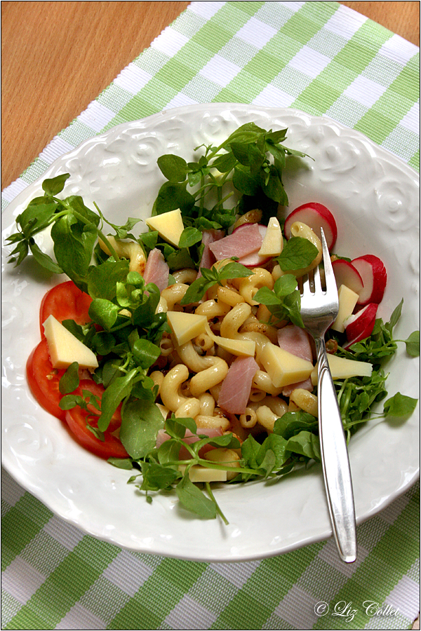 Nudelsalat mit Vogelmiere und Räßkäse