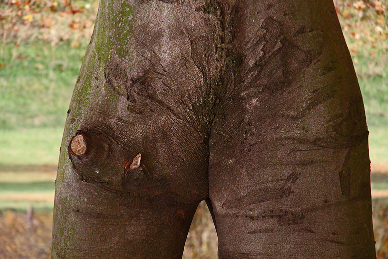 Nudist im Niddapark