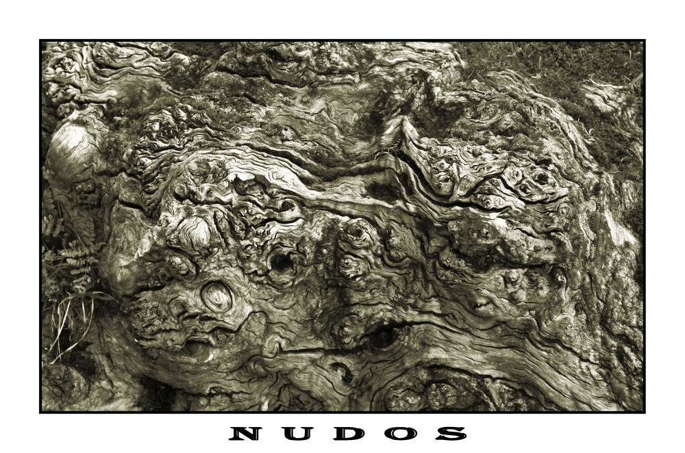 Nudos