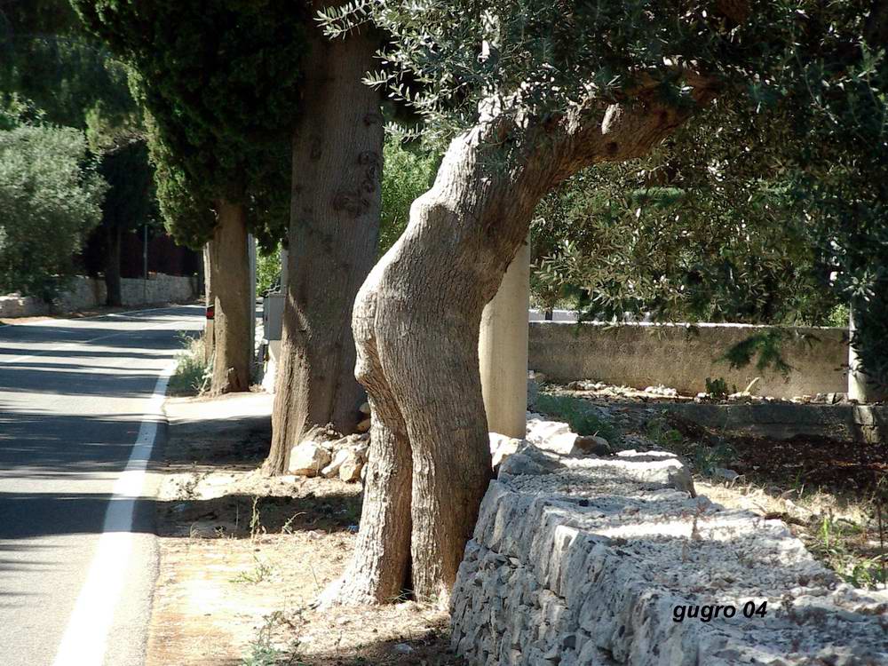 nudo...sulla strada (scherzi della natura)