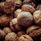 NUECES