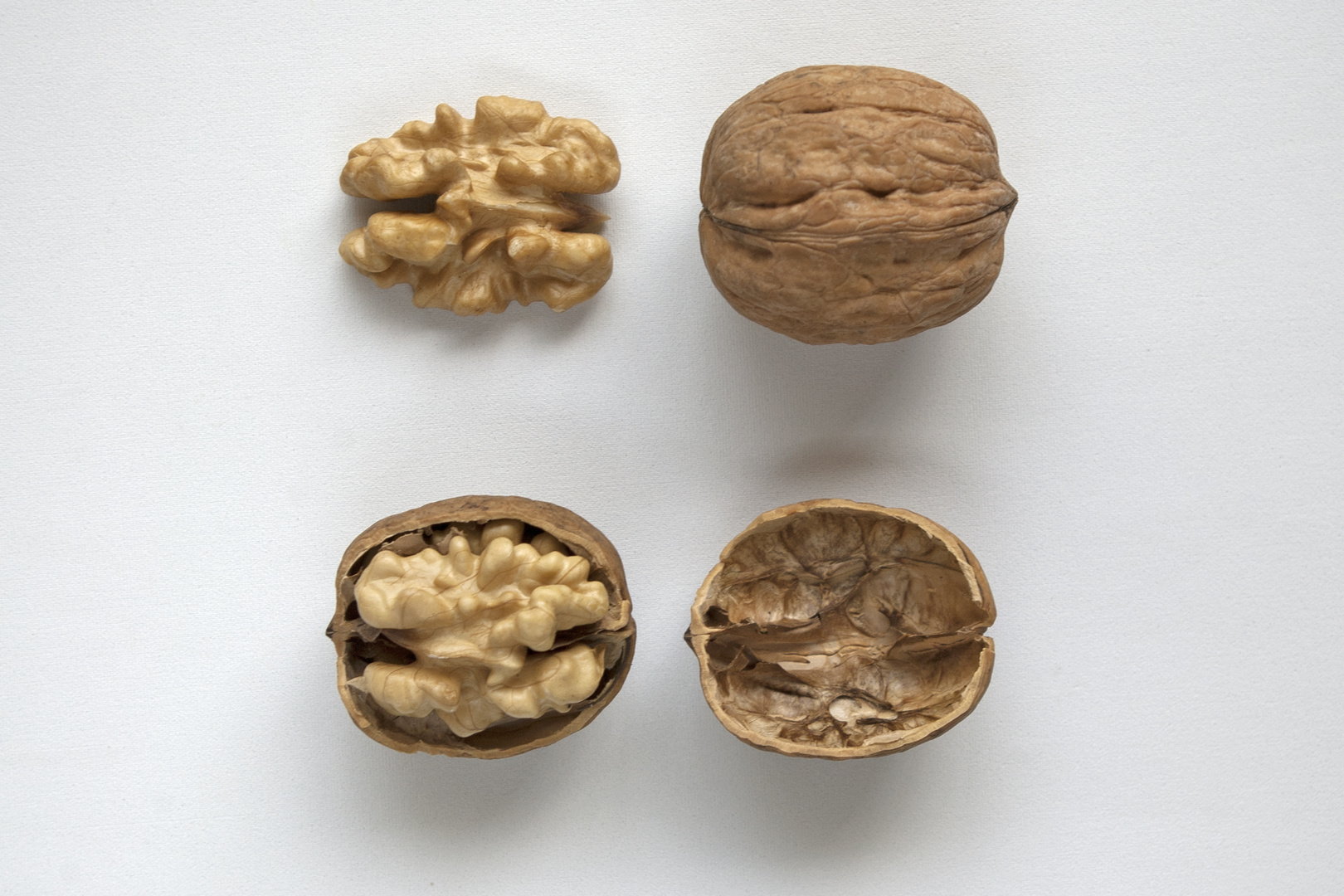 Nueces