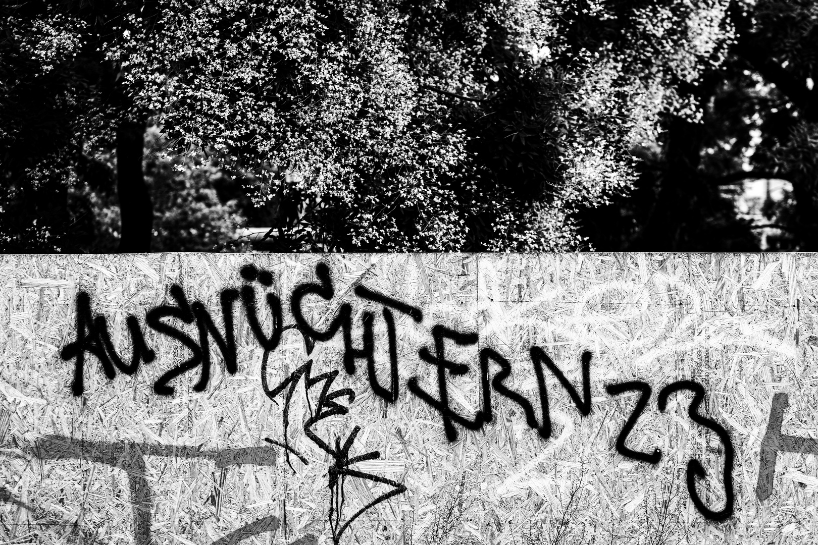 Nüchtern … in Mitte.