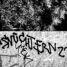 Nüchtern … in Mitte.