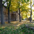 Nürnberg: "Goldener Herbst"