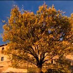 Nürnberger Burg im Abendlicht