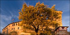 Nürnberger Burg im Abendlicht