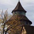 Nürnberger Burgturm im Herbst