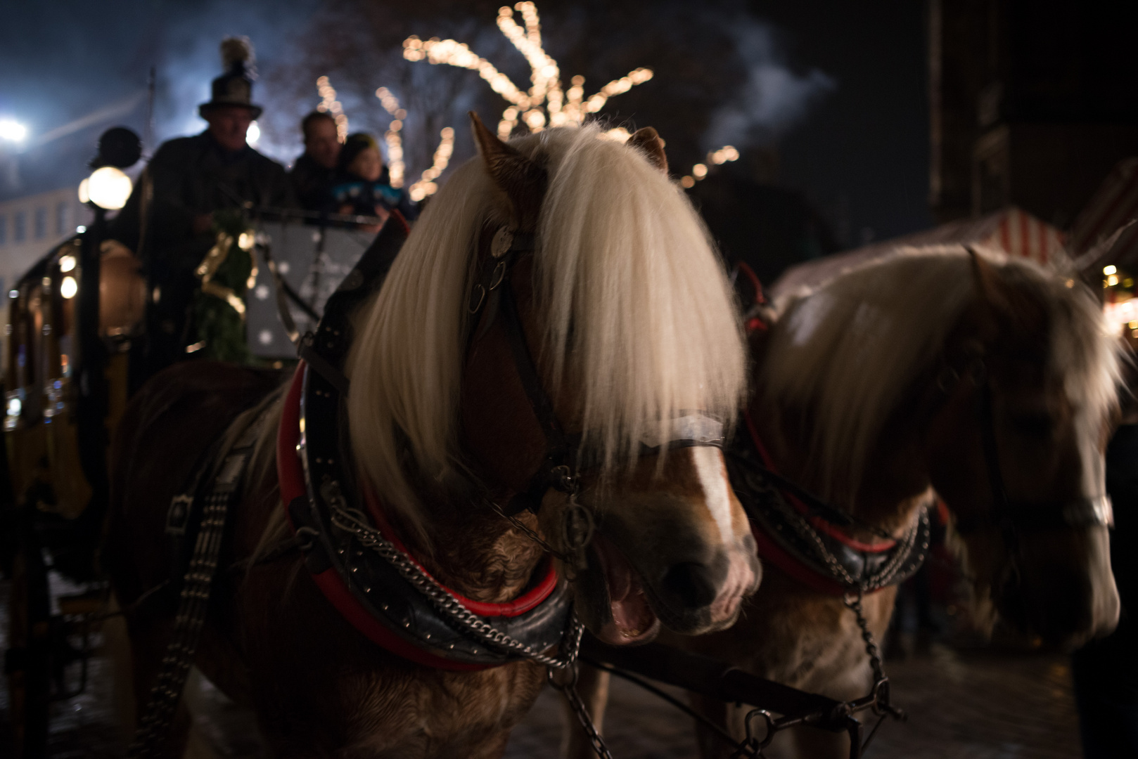 Nürnberger Christkindlesmarkt - Auf der Flucht