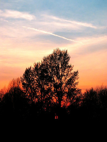 Nürnberger Sonnenuntergang an der Pegnitz