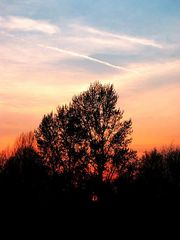 Nürnberger Sonnenuntergang an der Pegnitz