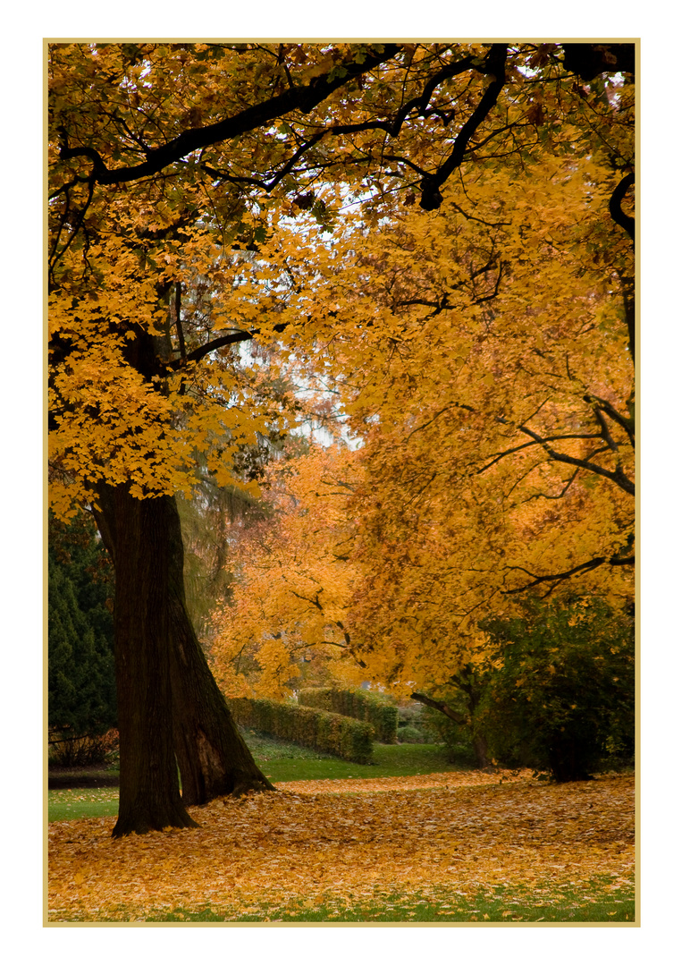 Nürnberger Stadtpark in Gelb