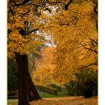 Nürnberger Stadtpark in Gelb