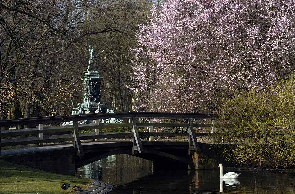 Nürnberger Stadtparkweiher