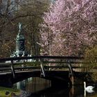 Nürnberger Stadtparkweiher