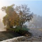 nürtingen im nebel