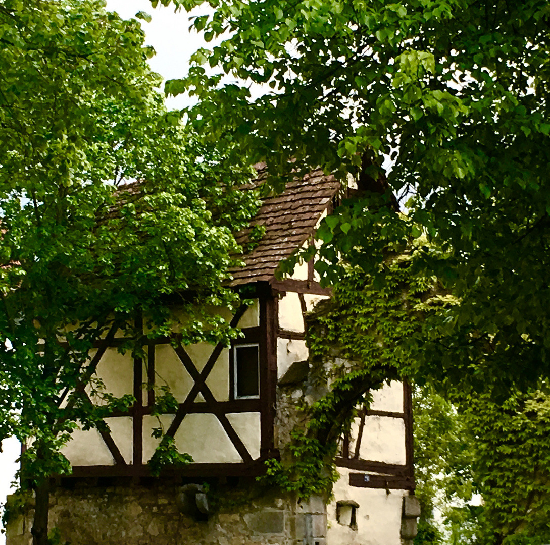 Nürtinger Impressionen 