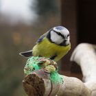 Nüsse sehr lecker !