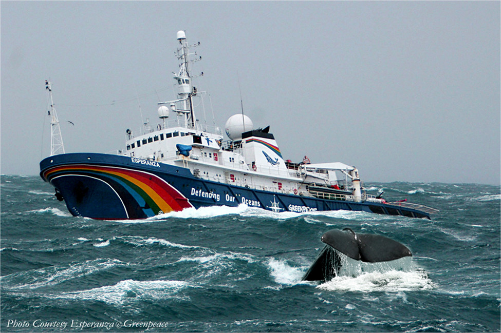 Nuestra Esperanza  *  Our hope ... !!! ***