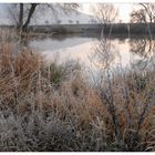 Nuestro lago esta mañana (unser See heute Morgen)