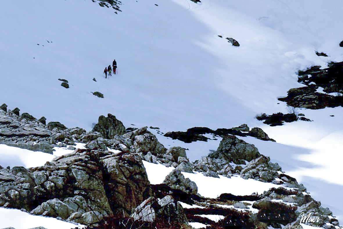 Nuestros compañeros que siguen hasta cumbres más altas. León 2007.