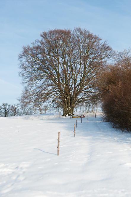 Nüsttal Rimmels im Winter 2011 2