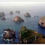 Nugget Point