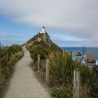 Nugget Point