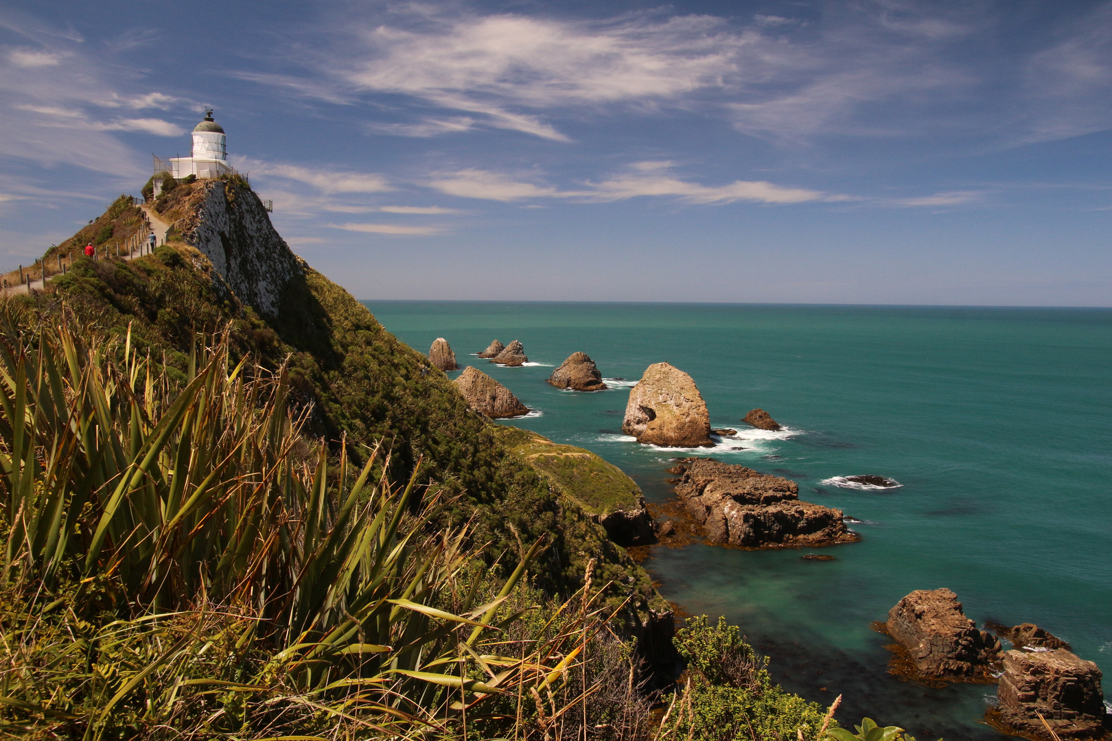 Nugget Point