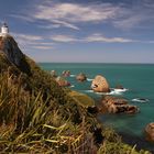 Nugget Point