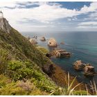 Nugget Point