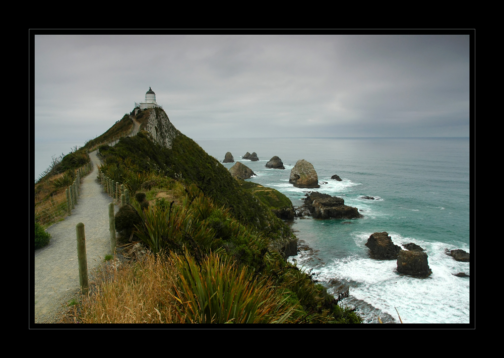 Nugget Point #2