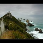 Nugget Point #2