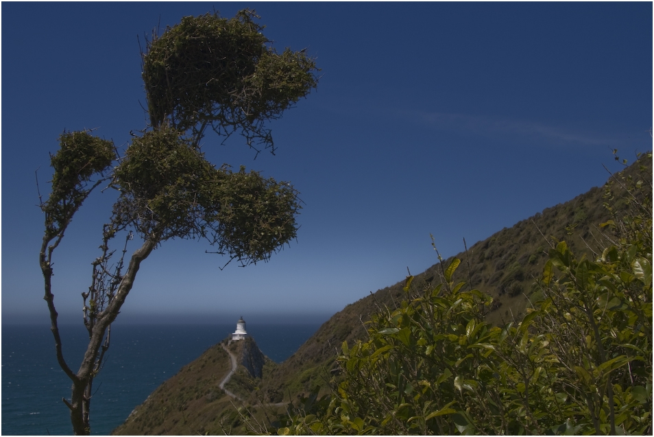 Nugget Point (2)