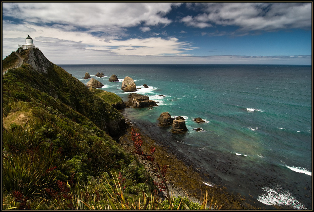 Nugget Point