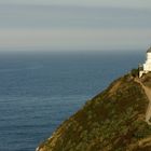 nugget point