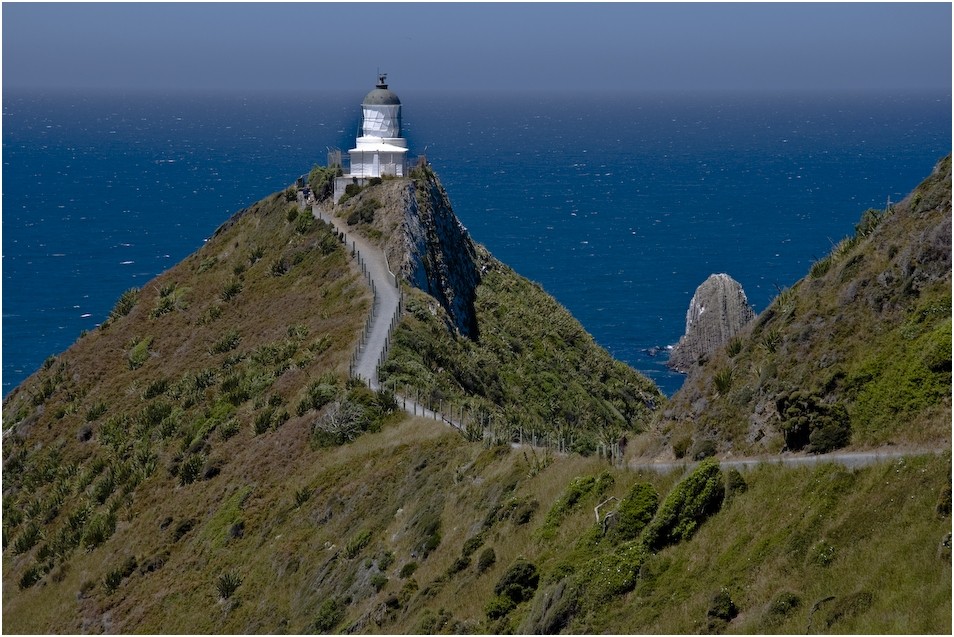 Nugget Point (3)