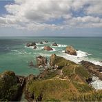 [ nugget point ]