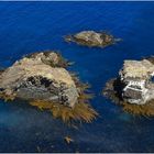 Nugget Point (4)