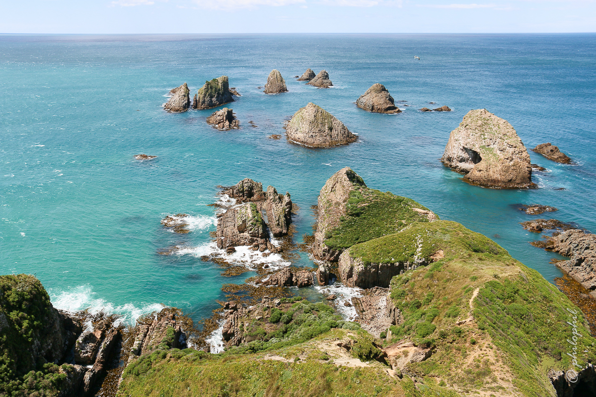 Nugget Point