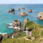 Nugget Point