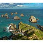 Nugget Point